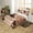 Brown, variant on Erosebridal 3D Corgi Duvet Cover Queen, Inspirational Words Bedding Sets Queen Size, Cute Pet Animal Bedroom Decor, Reversible 3pcs (No Comforter)