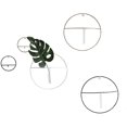 thumbnail image 4 of Metal Frame Round Hanging Planter Test Tube Flower Bud Vase Terrarium Container Flower Pot Holder Home Decor (White), 4 of 5