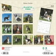 thumbnail image 6 of Boston Terriers 2025 12 X 24 Inch Monthly Square Wall Calendar Plastic-Free, (Paperback), 6 of 9