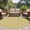 Light Beige Mustard Yellow, variant on Area Rug for Living Room, Green Floral Non-Slip Indoor Large Carpet for Bedroom/Dining Room, Vintage Rustic Botanical Spring Washable Low-Profile Rectangle Floor Mat Runner Rugs - 3 x 5 Ft