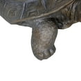 thumbnail image 6 of Walking Turtle Statue,  29.5" L Tortoise Concrete Garden Statue for Indoor or Outdoor Décor, 6 of 9