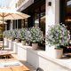 thumbnail image 5 of Qazbgdl - Planta Artificial Verde para Jardín | Decoración Primavera-Verano | 60 Cm de Altura para Patio | Incluye 1 Inserto de Plástico para El Suelo, 5 of 6