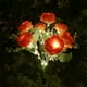 thumbnail image 4 of Lámpara de jardín solar peony 7 cabezas, luces LED de simulación de flor, impermeable, decoración para jardín, senderos, patios, luces solares para exteriores, iluminación de jardín,, 4 of 7