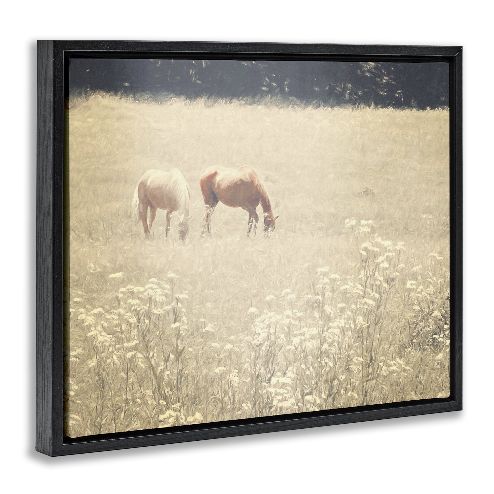 Stupell Industries Pair of Horses Grazing Landscape & Nature Photography Black Floater Framed Canvas Art Print Wall Art, 21 x 17