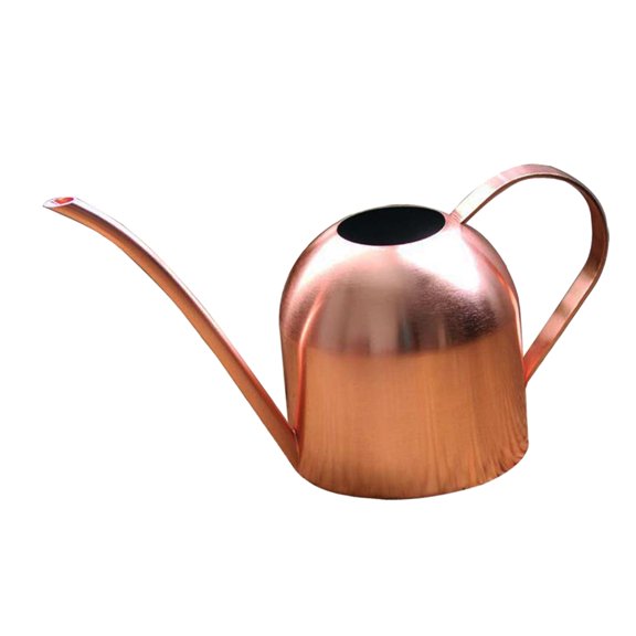 Small Indoor Plants Houseplant Succulents Bonsai Home Office Desk Plants Mini Can with Long , 18oz/500ml - Rose