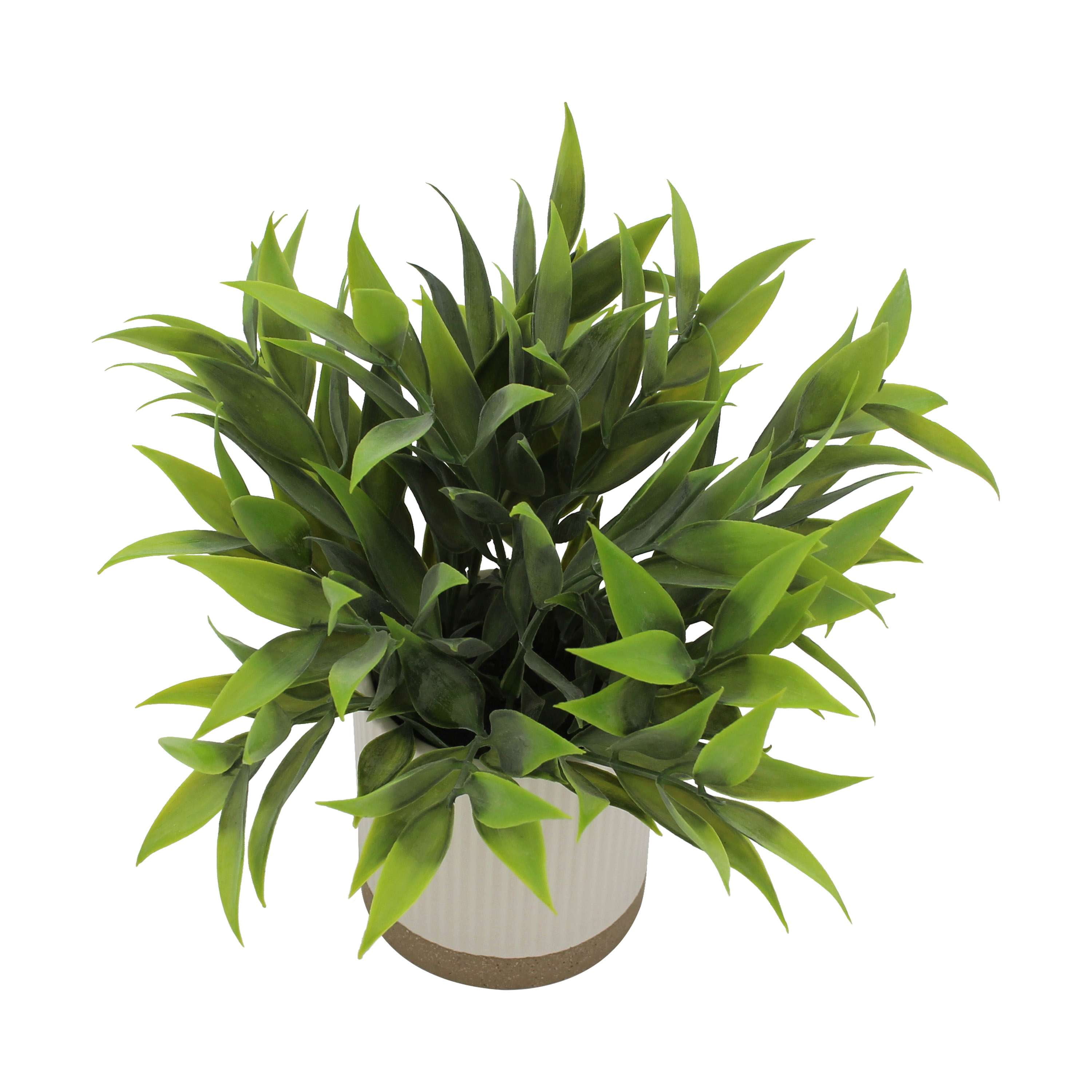Mainstays by Becky G. & Alejandra 8" Artificial Tealeaf in White Two-Tone Ribbed Ceramic Pot