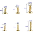 thumbnail image 1 of 1200PCS Pequeño tornillo de cabeza plana cruzada Tornillo autorroscante Gabinete Puerta Bisagras Bisagras, DIY Tornillo multifuncional Accesorios electrónicos Juego de micro tornillos Oro Fokelyi YQ-0372, 1 of 5