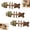 3pcs-A, variant on Catnip and Silvervine Chew, 2026 New Catnip & Silvervine Chew, 3pcs-A