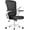 Black&White, variant on MarketLane Ergonomic Office Chair, Mid Back Desk Chair with Adjustable Height, Swivel Chair with Flip-Up Arms and Lumbar Support, Breathable Mesh Computer Chair for Home/Study/Working(Green)