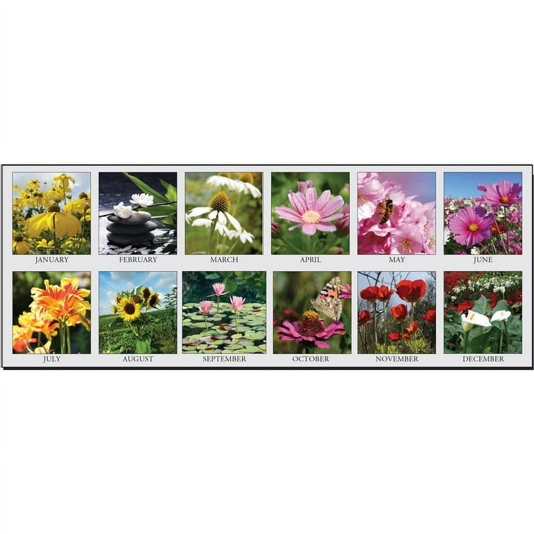 House of Doolittle EarthScapes Flowers Photo Wall Calendar - Julian Dates - Monthly - 12 Month - January 2024 - December 2024 - 1 Month Single Page Layout - 2.13 House of Doolittle EarthScapes Flowers Photo Wall Calendar - Julian Dates - Monthly - 12 Month - January 2024 - December 2024 - 1 Month Single Page Layout - 2.13