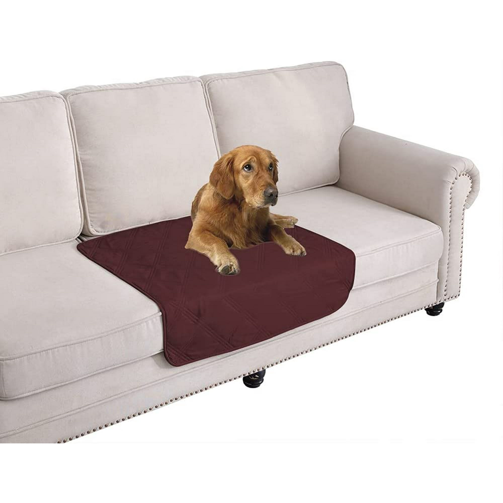 Sofa Saver Keep Dog Off Baci Living Room
