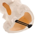 thumbnail image 3 of unbranded De Pañuelos Para Animal Para Oficina Y, 3 of 7