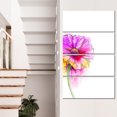 thumbnail image 1 of Purple Yellow Gerbera Flower, 1 of 3