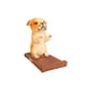 thumbnail image 1 of Soporte para teléfono celular, soporte para teléfono móvil de madera con diseño de perro lindo para escritorio de teléfono inteligente - Style3 brillar Juguete, 1 of 4