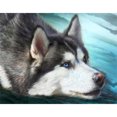 thumbnail image 1 of 5D DIY diamante pintura lobo tumbado completo taladro cuadrado manualidades Rhinestone colgantes FLhrweasw Nuevo, 1 of 9