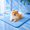 12*16inch, variant on Dog Cooling Mat Ice Silk Pet Cooling Pad Breathable, No Need to Freeze or Refrigerate, Reusable Summer Cooling Bed for Indoor Outdoor Car & Crate