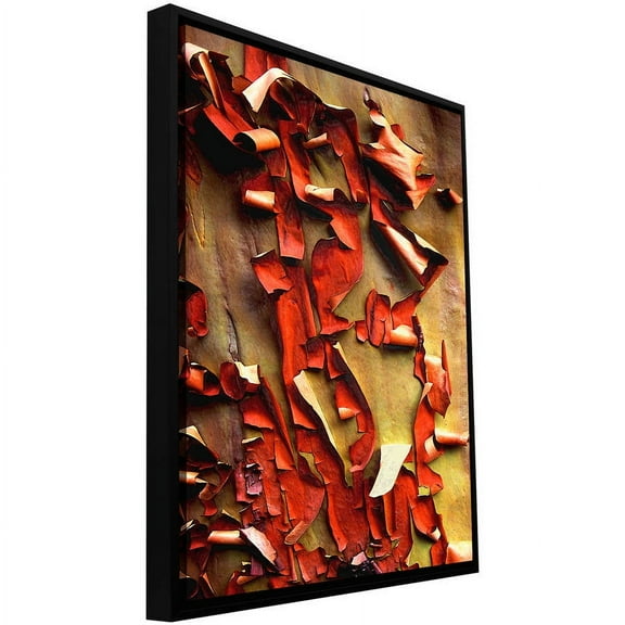 ArtWall Dean Uhlinger "Madrone Bark Detail" Floater Framed Gallery-Wrapped Canvas