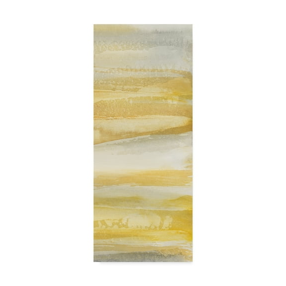 Trademark Fine Art 'Grey and Gold III' Canvas Art by Chris Paschke