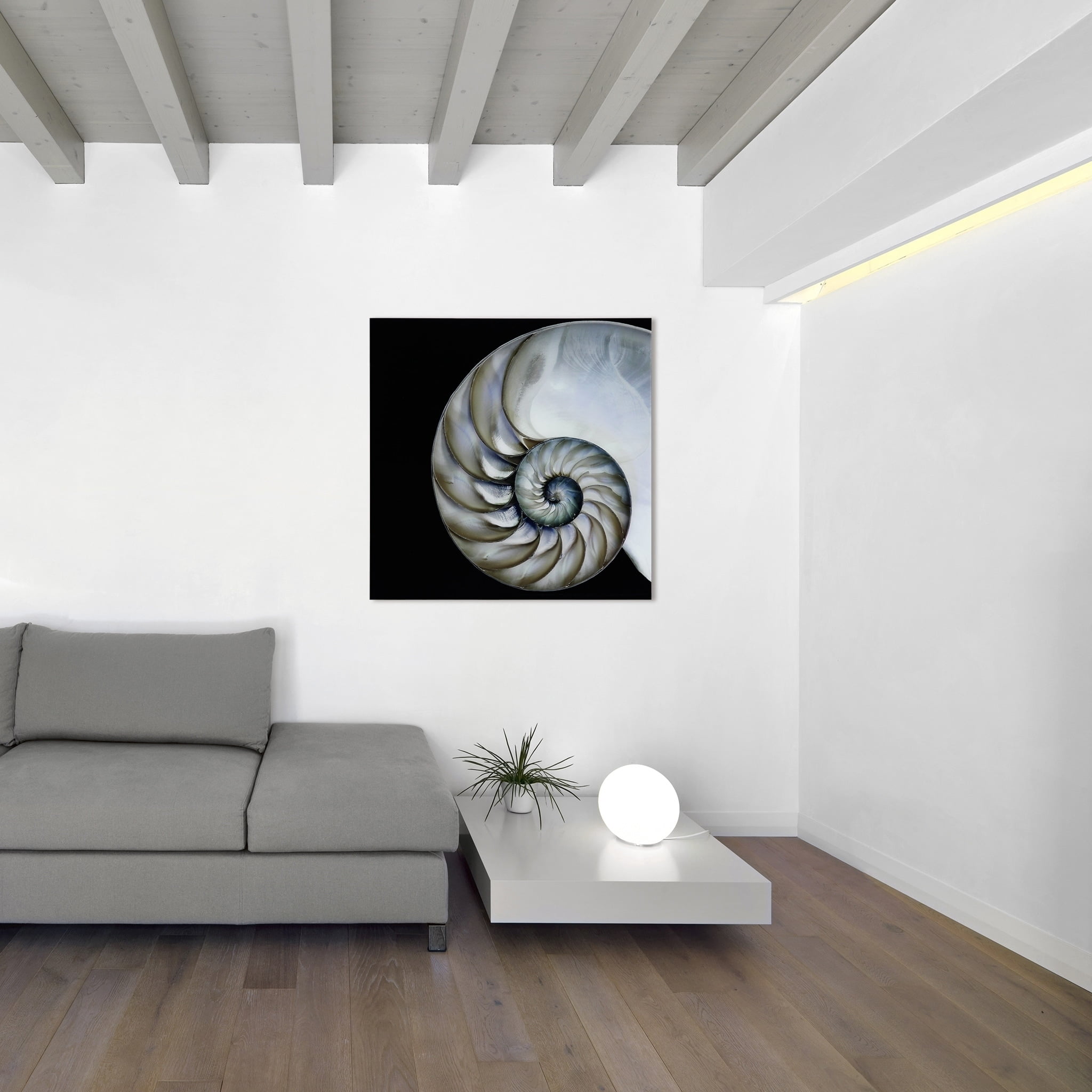 Empire Art Direct Pearly Nautilus Frameless Free Floating Tempered Glass Panel Graphic Wall Art, 36" x 36" x 0.2", Ready to Hang