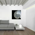 thumbnail image 4 of Empire Art Direct Pearly Nautilus Frameless Free Floating Tempered Glass Panel Graphic Wall Art, 36" x 36" x 0.2", Ready to Hang, 4 of 5