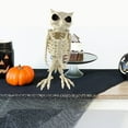thumbnail image 3 of Dserhfy Halloween Skeleton Owl Decoration Realistic 12" Skeleton Animal Figure Plastic Owl Bone Model for Haunted House Party Decor, 3 of 8