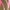 Green Ivy, variant on Time and Tru Women's Tiered Maxi Dress, Sizes XS-XXXL