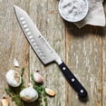 thumbnail image 4 of Henckels Classic Precision 7-inch Hollow Edge Rocking Santoku Knife, 4 of 5