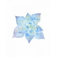 thumbnail image 3 of Varacek, Pam 12x14 Black Modern Framed Museum Art Print Titled - Inspiring Lotus, 3 of 5
