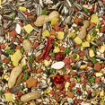 thumbnail image 4 of Kt Parrot, 4 of 5