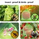 thumbnail image 5 of 200 Protectores de Uvas con CordóN de para Frutas, Bolsas Protectoras de Organza para Regalo, 5 of 5