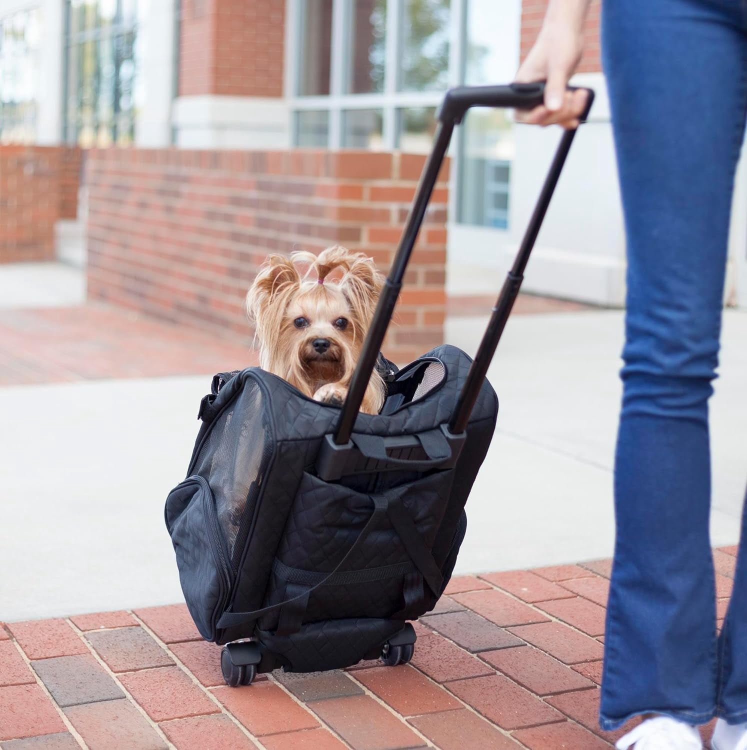Snoozer Roll Around Large 4-in-1 Pet Carrier Backpack with Multi-Stage Handle, Red, 30 lb Limit
