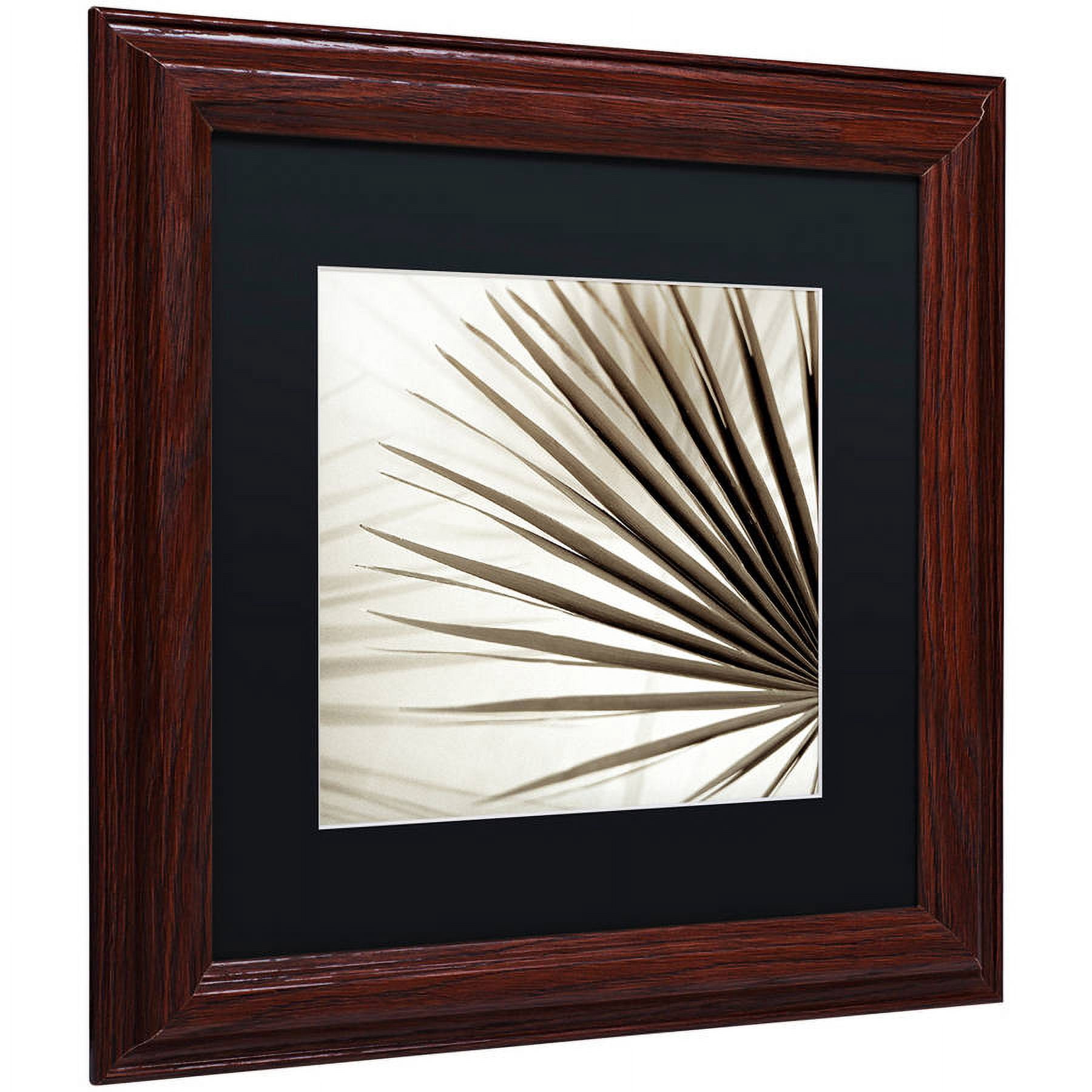 Trademark Fine Art "Florison 66" Canvas Art by Alan Blaustein, Black Matte, Wood Frame