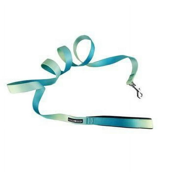 American River Ombre Leash - Aruba Blue