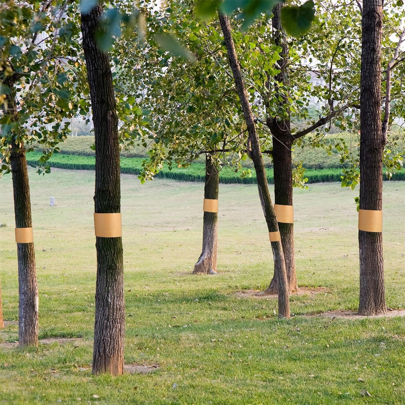 198 Ft x 2 Inch 2 Rolls Tree Protector Wrap Roll,Bexikou Cicada Tree Wrap Protection Tape,Tree Trunk Wrap Protector,Crawling Insect Tree Tape for Protecting Fruit Trees Plants Outdoor Lawn Garden
