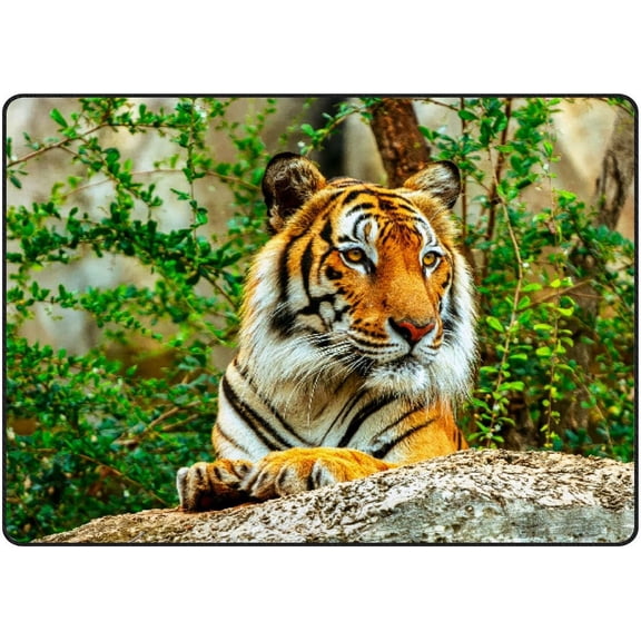 Crawling Indoor Carpet Play Mat Tiger in Zoo for Living Room Bedroom Educational Nursery Floor Mat Area Rugs 80x58in