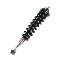 FCS Complete Strut Assembly