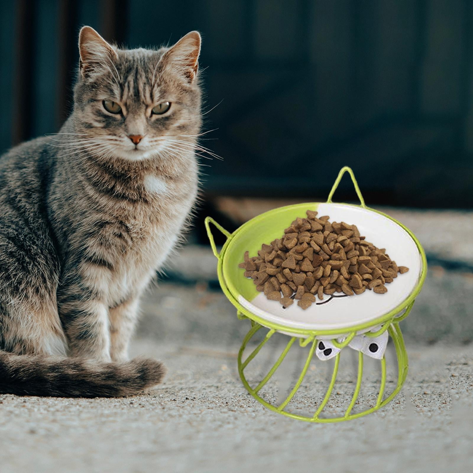 Ceramic Cat Bowl, Elevated Cat owl with Metal Stand, and