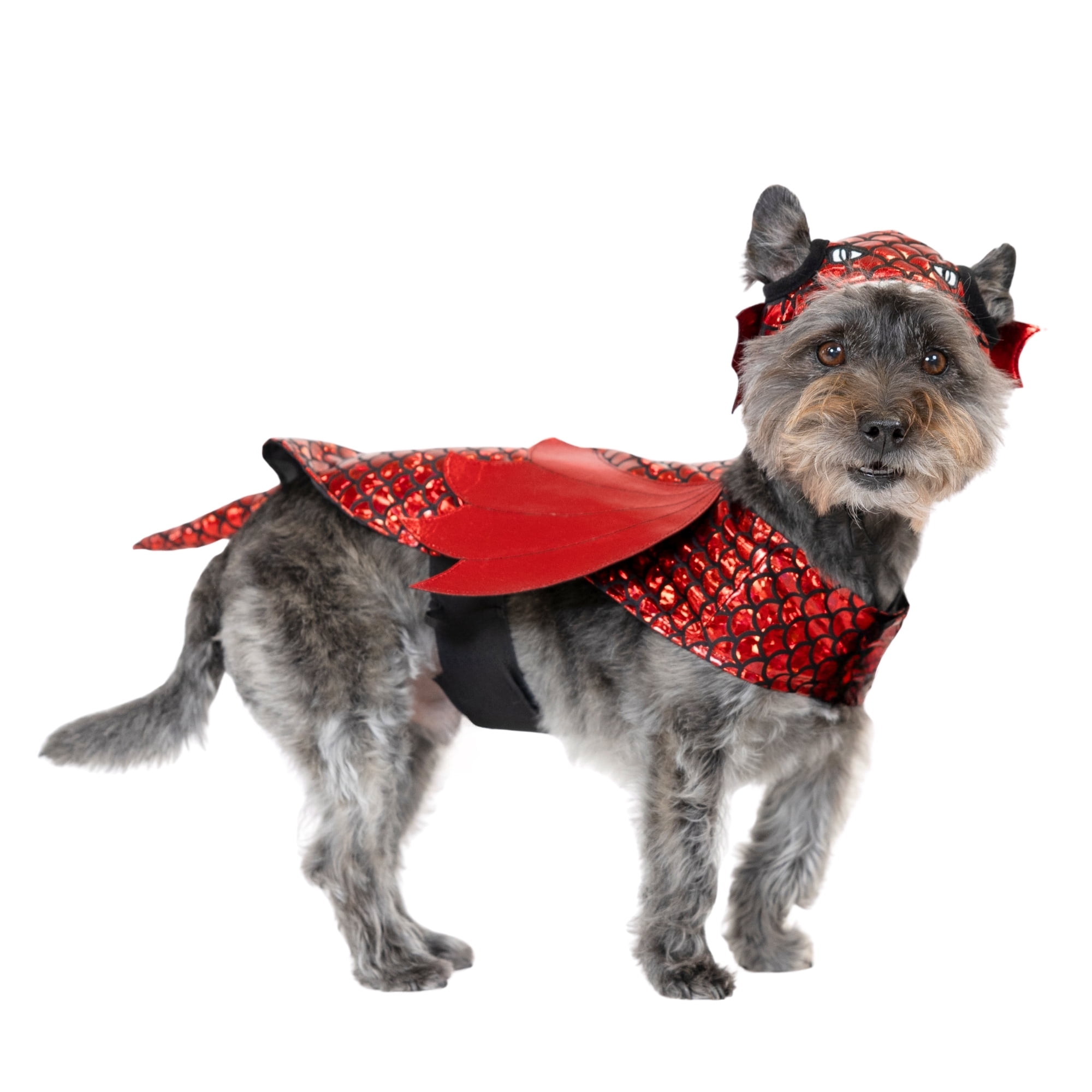 Vibrant Life Halloween Dragon Costume for Dogs & Cats, Red, Small