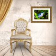 thumbnail image 3 of Perry, William 24x17 Gold Ornate Wood Framed with Double Matting Museum Art Print Titled - Colorful black crowned night heron fishing-Florida, 3 of 4