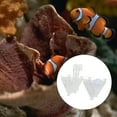 thumbnail image 2 of 2 comederos cónicos de acrílico para peces, ideales para acuarios., 2 of 7
