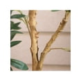 thumbnail image 3 of 7FT Artificial Olive Tree With Realistic Leaves And Natural Trunk, Silk Fake Potted Tree With Wood Branches And Fruits, Faux Olive Tree For Office Home Decor, 3 of 13