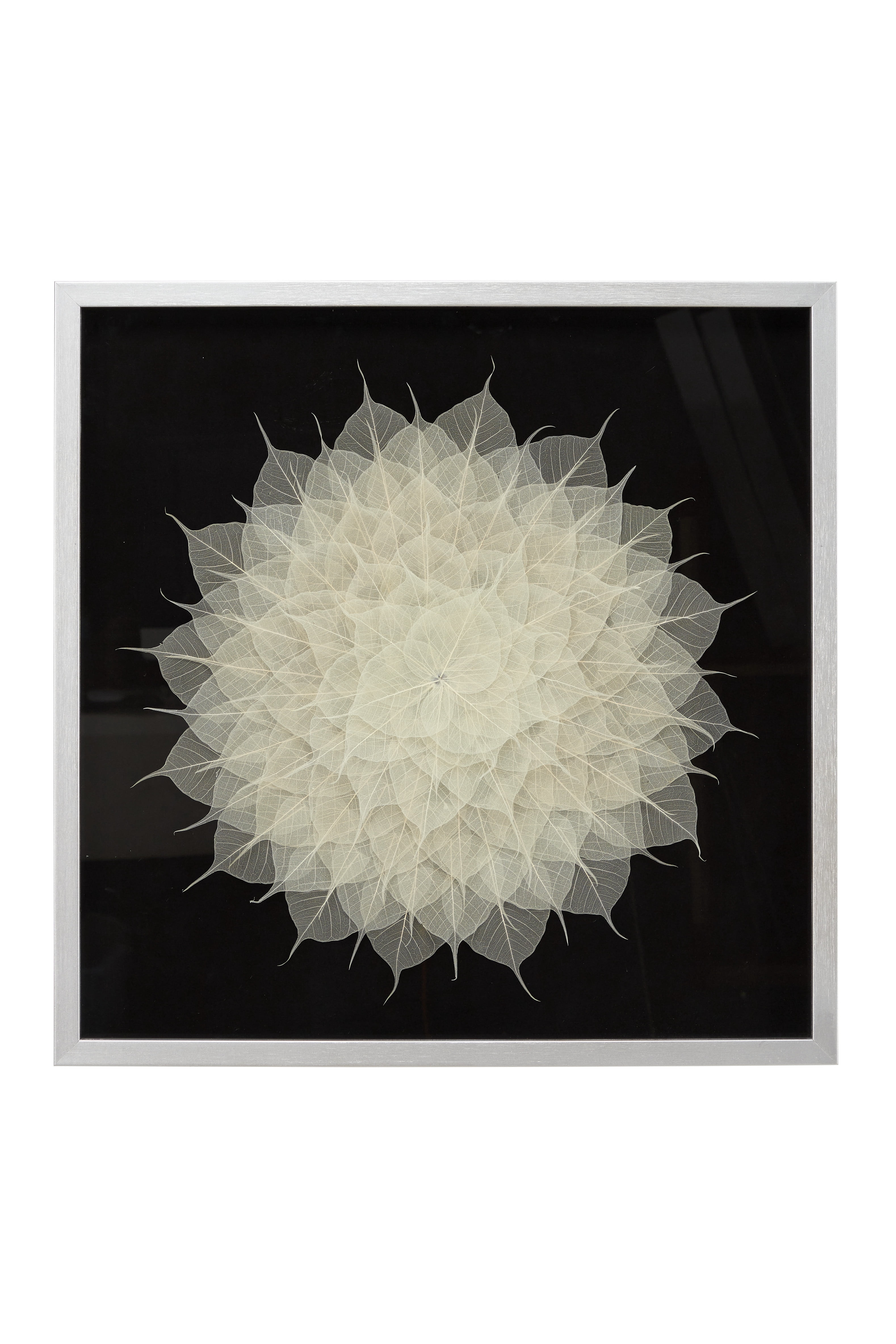 DecMode White Leaf Mandala Natural Wall Decor Shadow Box, 23.5" x 23.5"