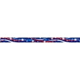 thumbnail image 3 of Country Brook Design® 5/8 inch Star Spangled Polyester Webbing, 5 Yards, 3 of 4