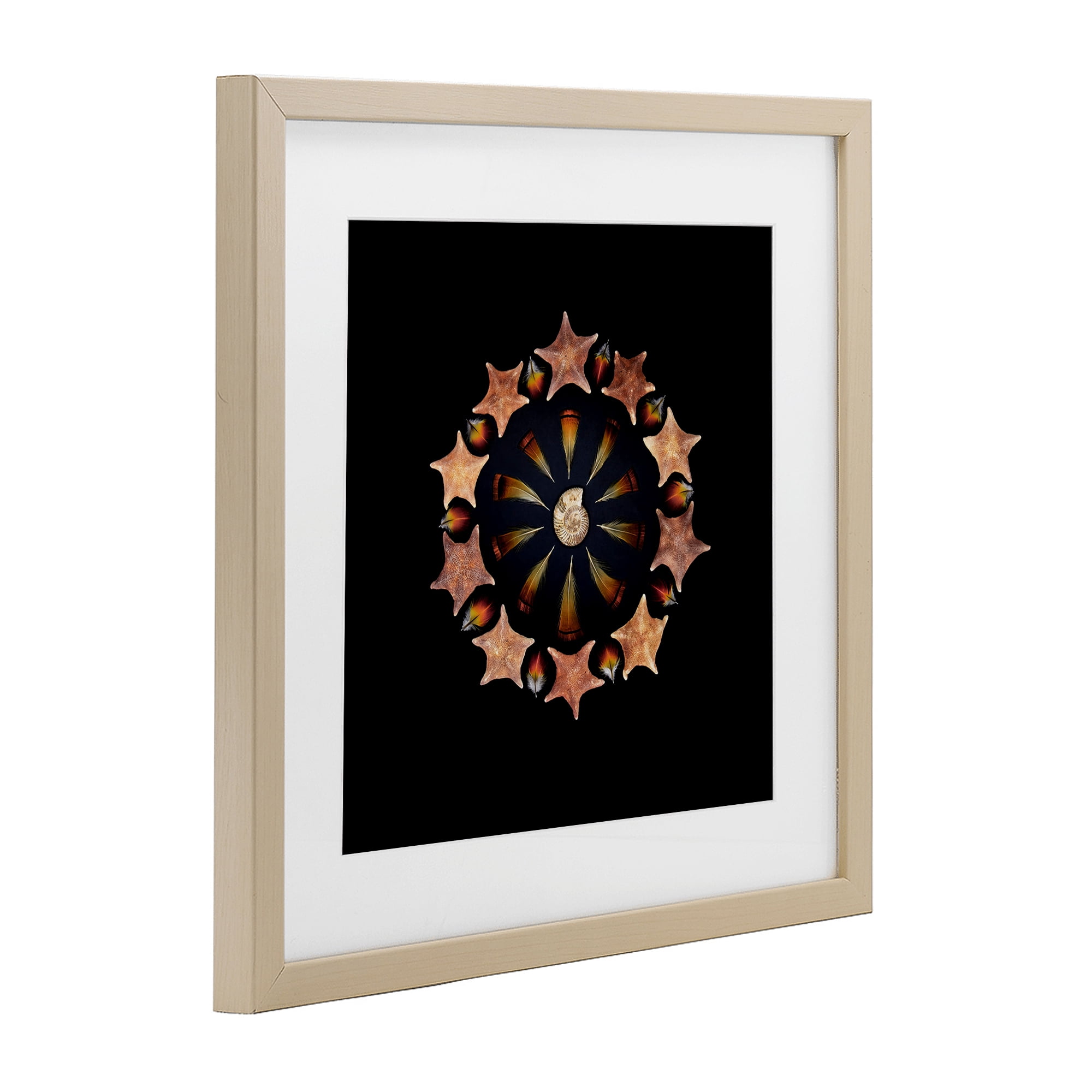Stupell Industries Nautical Nature Arrangement Birch Framed Print Under Glass, design by Beth Adoette