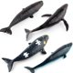 thumbnail image 4 of FELTECHELECTR Modelo de ballena franca, modelo de vida marina, relleno de algodón, juguete de ballena franca falsa, divertido modelo educativo, juguete para niños, 4 of 6