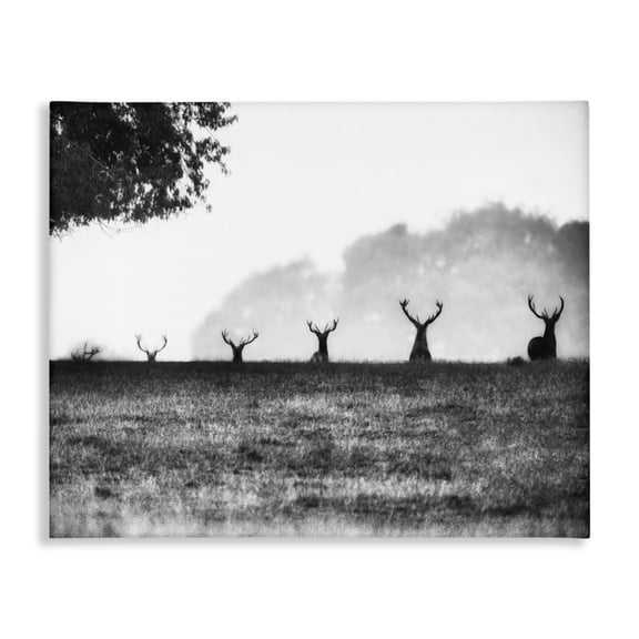 Stupell Industries Farmhouse Black and White Deer Family Photo Canvas Art, 20 x 16, by Villager Jim