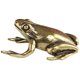 thumbnail image 1 of unbranded Rana De Latón Dorado Ideal Para De Té Y El Hogar, 1 of 8