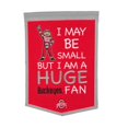 thumbnail image 1 of Winning Streak Sports 18200 Ohio State Lil Fan Traditions Banner, 1 of 1