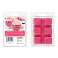 thumbnail image 1 of IH Casa Decor 6Pk La Cire Parfumée Fond La Limonade De Pastèque - Ensemble De 4, 1 of 2