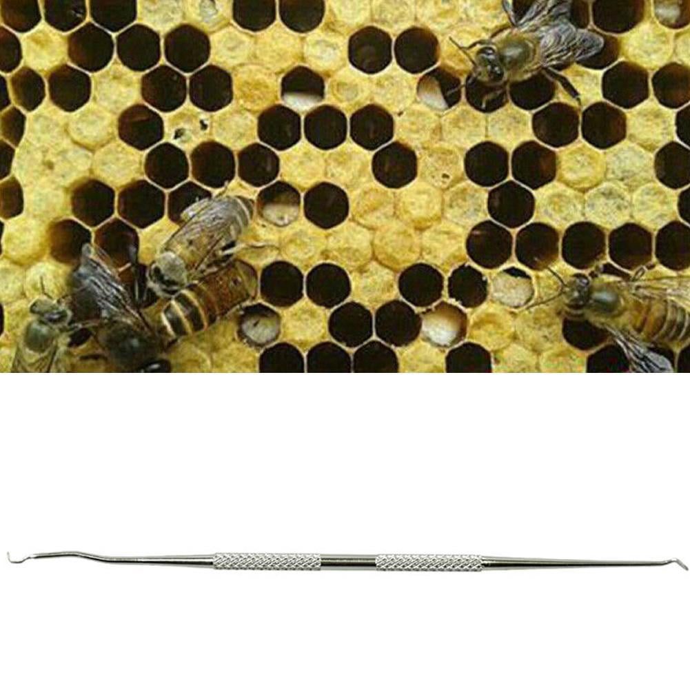 Beekeeping Dual Heads Stainless Needle Bee Hive Queen O2V7 Grafting Rearing L9Q8 
